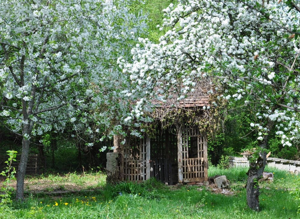 Binsdorfer Klostergarten